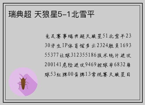 瑞典超 天狼星5-1北雪平